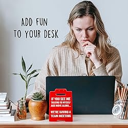 Funny Office Decor Coworker Gifts, Funny Desk Signs