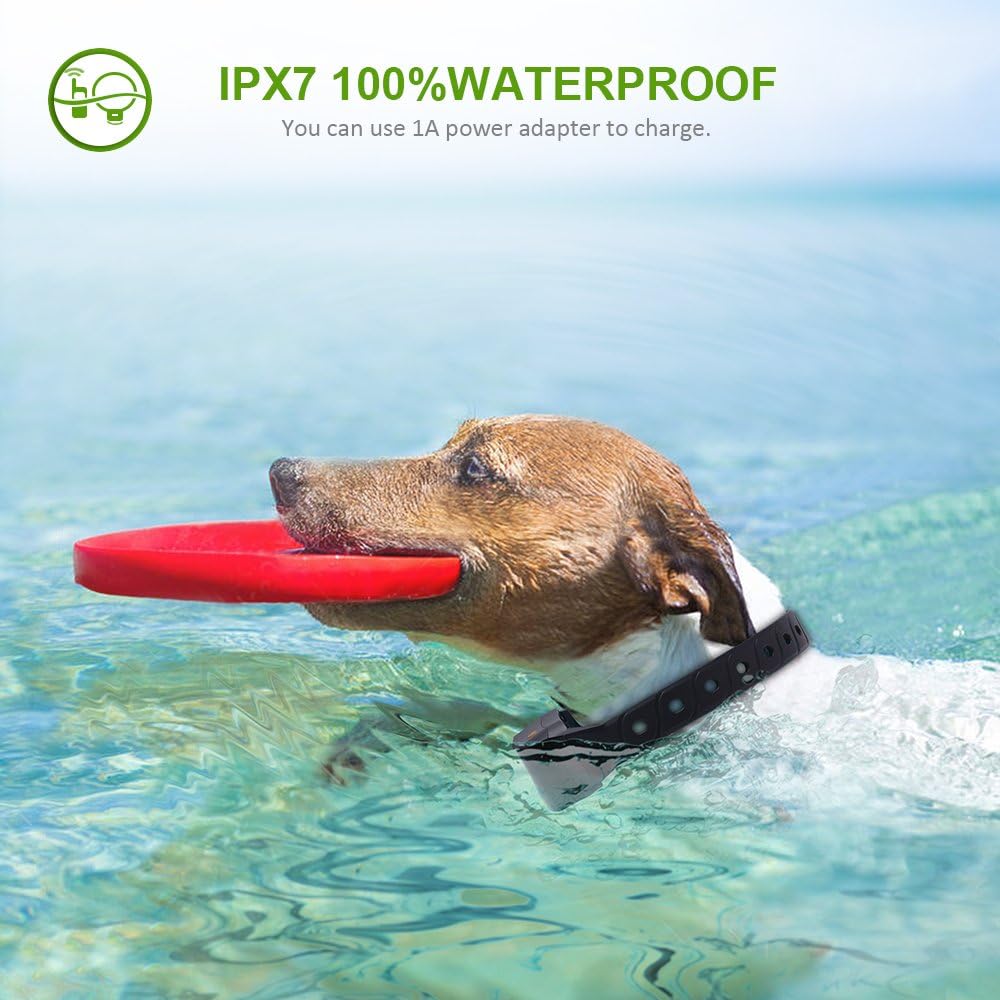 wolfwill training collar