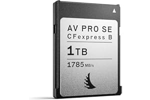 Angelbird AV PRO CFexpress B SE 1 TB Memory Card for 8K Plus Video Recording and 12K Photography with Stable Stream Technolog
