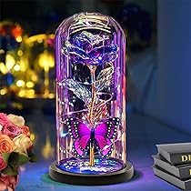 Snow Globe Music Box with LED Light, Preserved Red Rose Flower