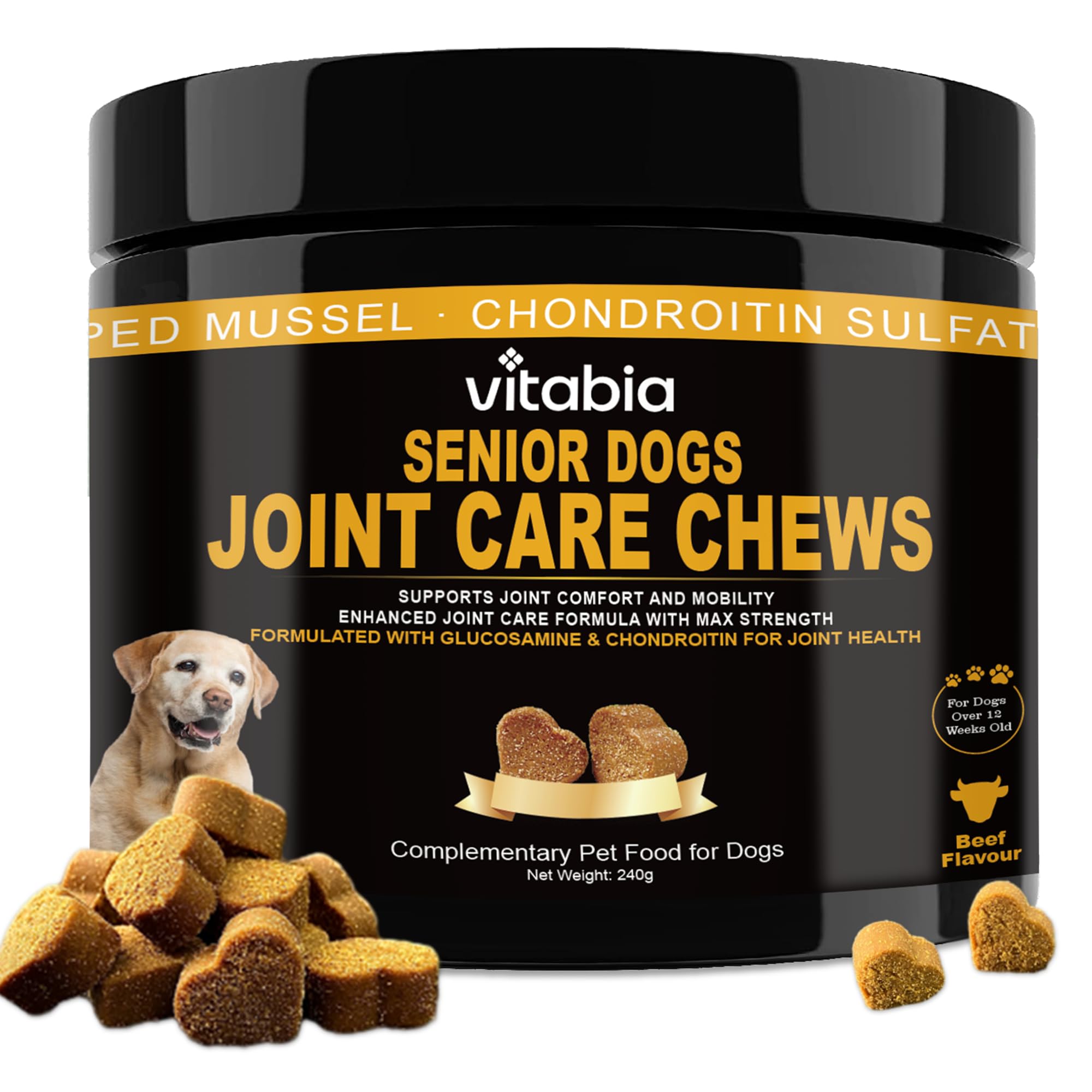 Senior Dog Joint Supplements with Glucosamine Chondroitin MSM - Hip & Joint Support for Dogs with Green Lipped Mussel, Turmeric, Omega 3 for Mobility & Comfort - Beef Flavour Dog Supplements
