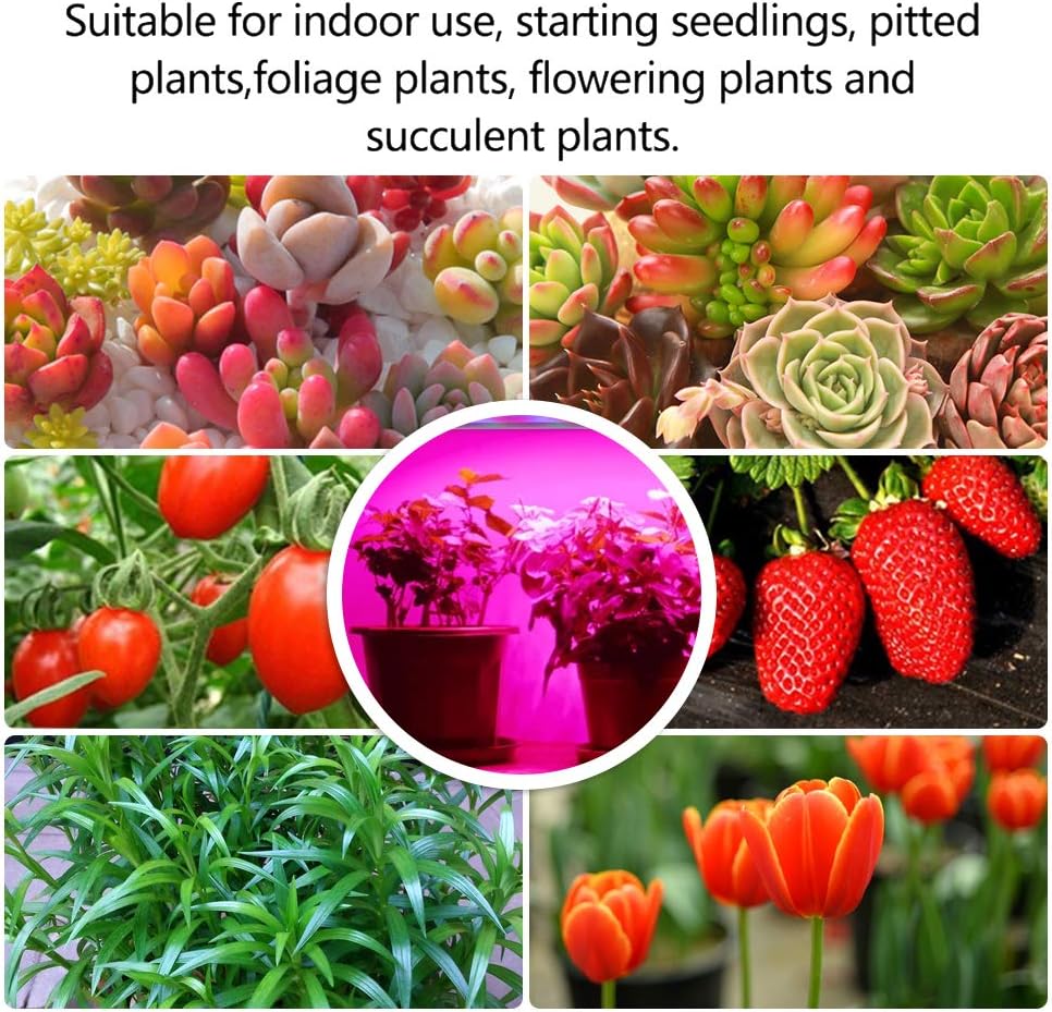 Mosthink LED Grow Light for Indoor Plants, 20W Plant Grow Light Strips, Auto On / Off Timer , 48 LEDs /4 Dimmable Levels, Light Bars for Gardening Seedlings Greenhouse, Two Pack: Home Improvement