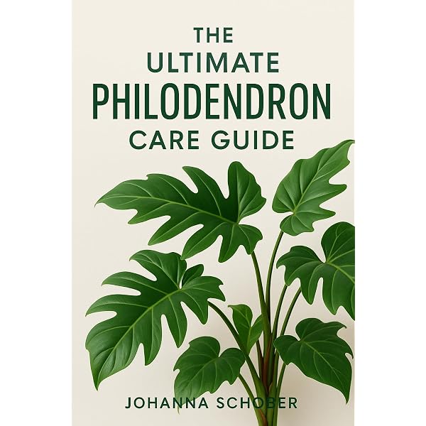 photos plant Epipremnum Aureum 'Neon' Pothos | Easy to Care for Trailing Houseplant main image 1