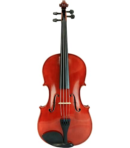 viola Amazon.com: D'Luca CA400VA-14 14-Inch Orchestral Series Handmade