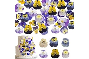 Natural Dried Pressed Pansy Flowers, 48 Pieces, 6 Varieties, for Cake Decorating, Crafts and Jewelry Making (Mix Viola Tricol
