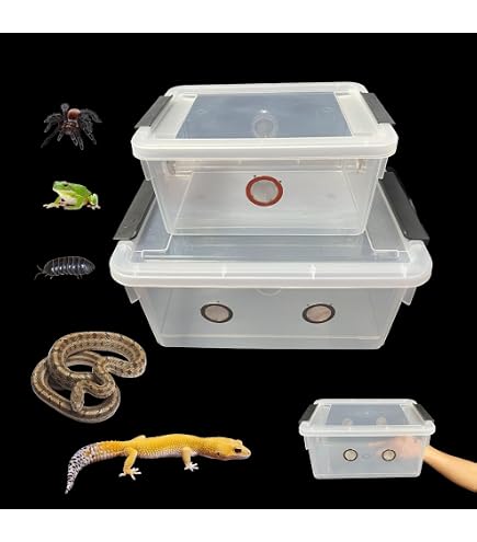 Amazon.com: Vivarium Box Reptile AmphibianCage Large Wooden Pet