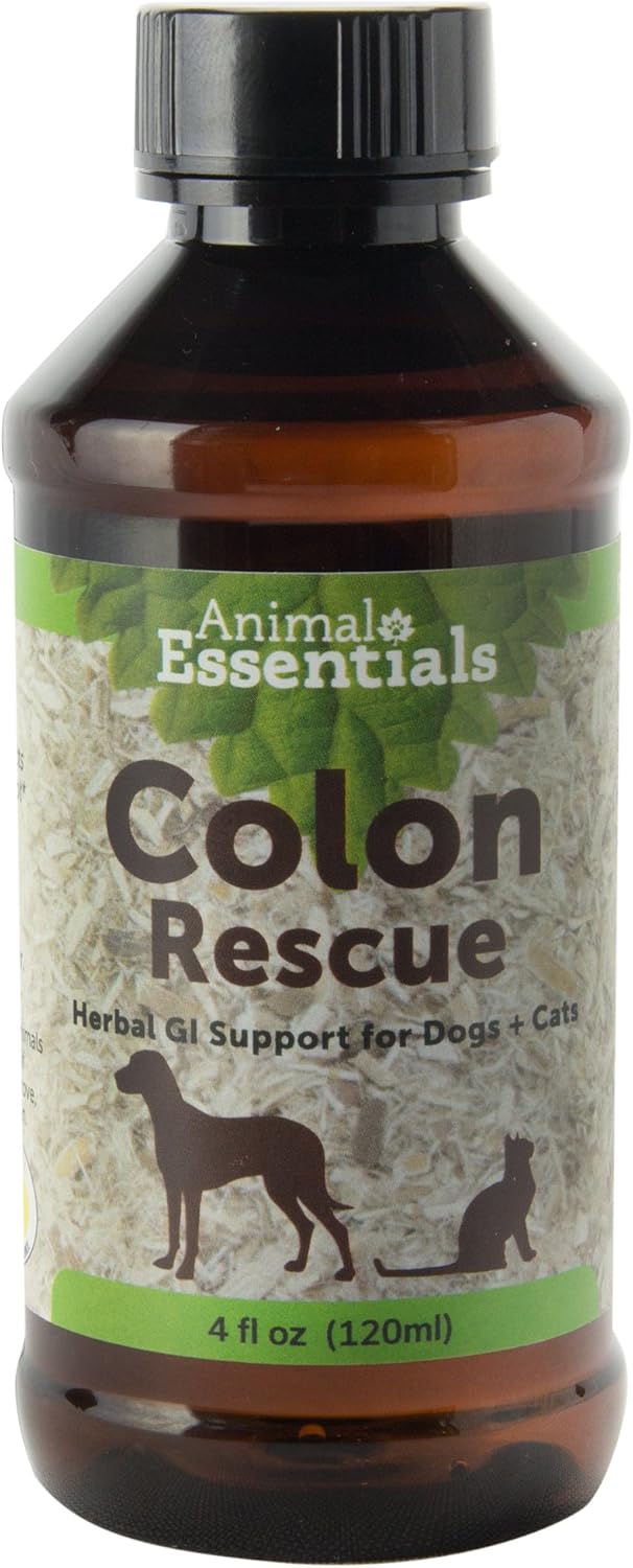 best soft food for dogs after dental surgery