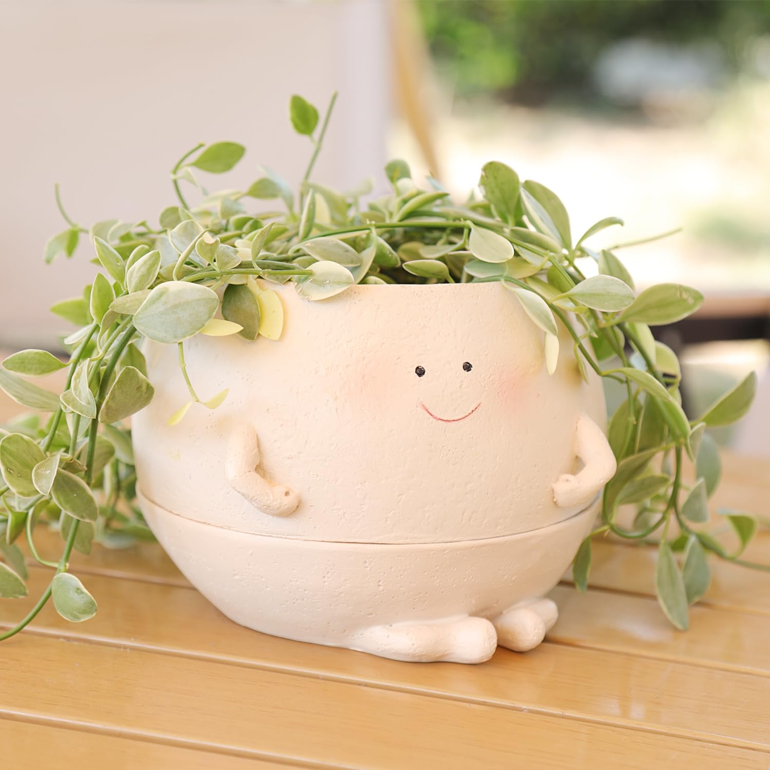 Pricetail Cheerful Smiley Self-Watering Face Planter Pot with Drainage Hole, Indoor/Outdoor Plant Pots Lovely Gift for Mother's Day, Christmas