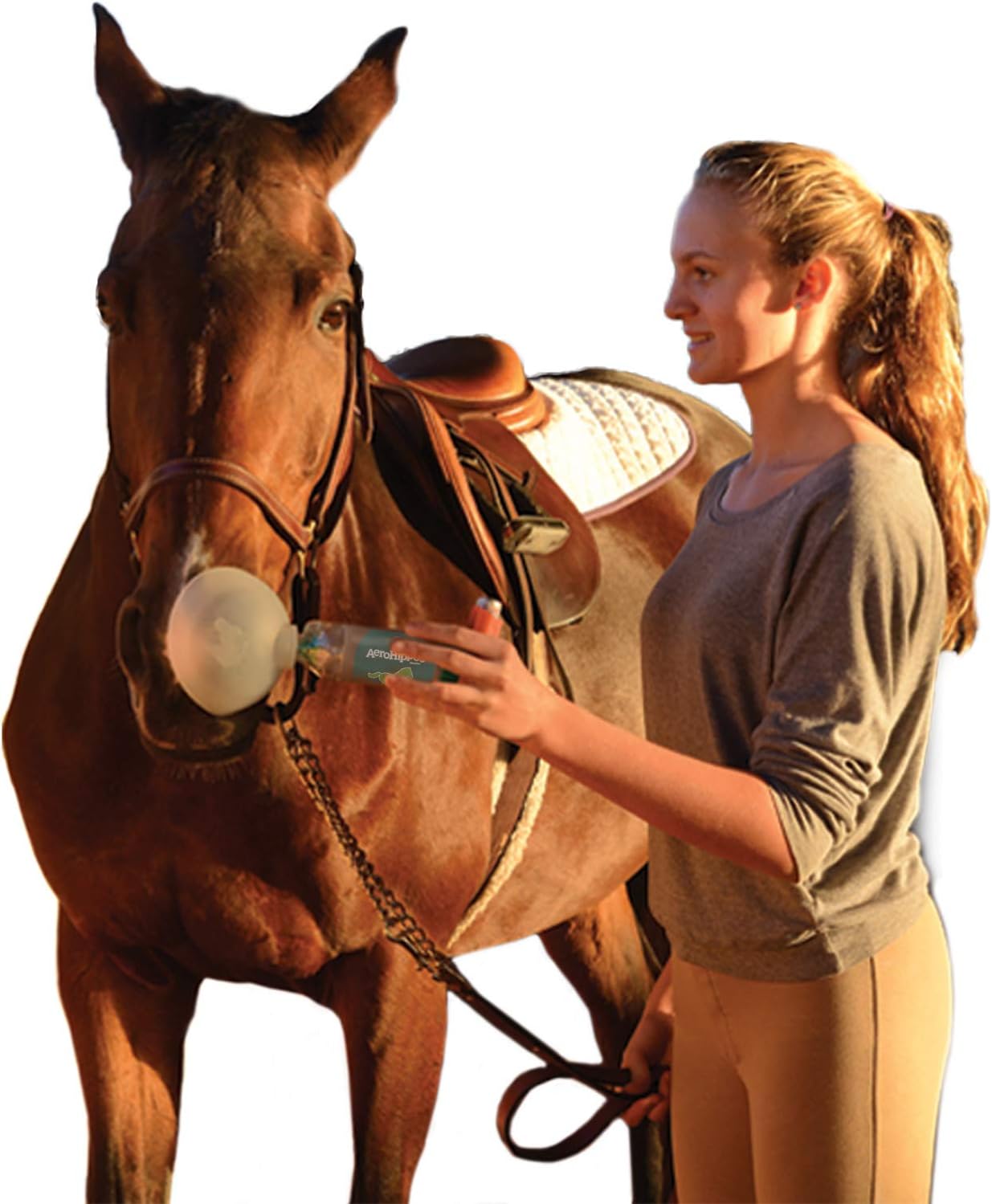 BreathEazy AeroHippus Horse Inhalation Chamber with FlowVu Equine