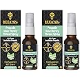 Bee and You Raw Honey Throat Spray, 100% Pure Propolis Extract, Immune Support, Sore Throat & Congestion Relief, Oral Health, Antioxidants, Natural, Keto, Paleo, Gluten-Free | 1 FL Oz (Pack of 2)