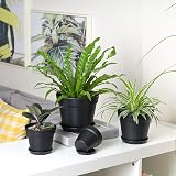 T4U 17cm Plastic Plant Pots 6-Pack with Saucers Black view 2