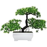 AzureLeap Artificial Bonsai Tree Cloud Pine Bionic Plant Indoor Small Fake Plants Decor Zen Garden Desk Home Desktop Office Bathroom Shelf Bedroom Living Room Decorations (Green)