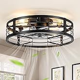LEDIARY 20" Caged Ceiling Fan with Light and Remote, Low Profile Flush Mount Fandelier, Black Bladeless Enclosed Small Fan Li