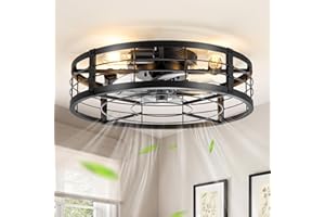 LEDIARY 20" Caged Ceiling Fan with Light and Remote, Low Profile Flush Mount Fandelier, Black Bladeless Enclosed Small Fan Lights Ceiling Fixtures, Rustic Farmhouse Style for Bedroom, Outdoor