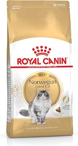 Royal Canin Norwegian Forest Cat Food 10 KG Dry Kibble