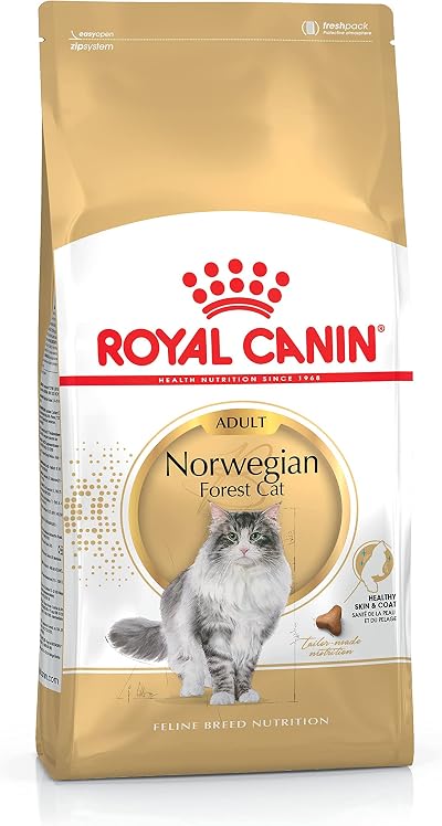 Royal Canin Norwegian Forest Cat Food 10 KG Dry Kibble