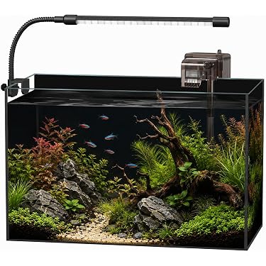 Amazon.com New Releases: The best-selling new & future releases in