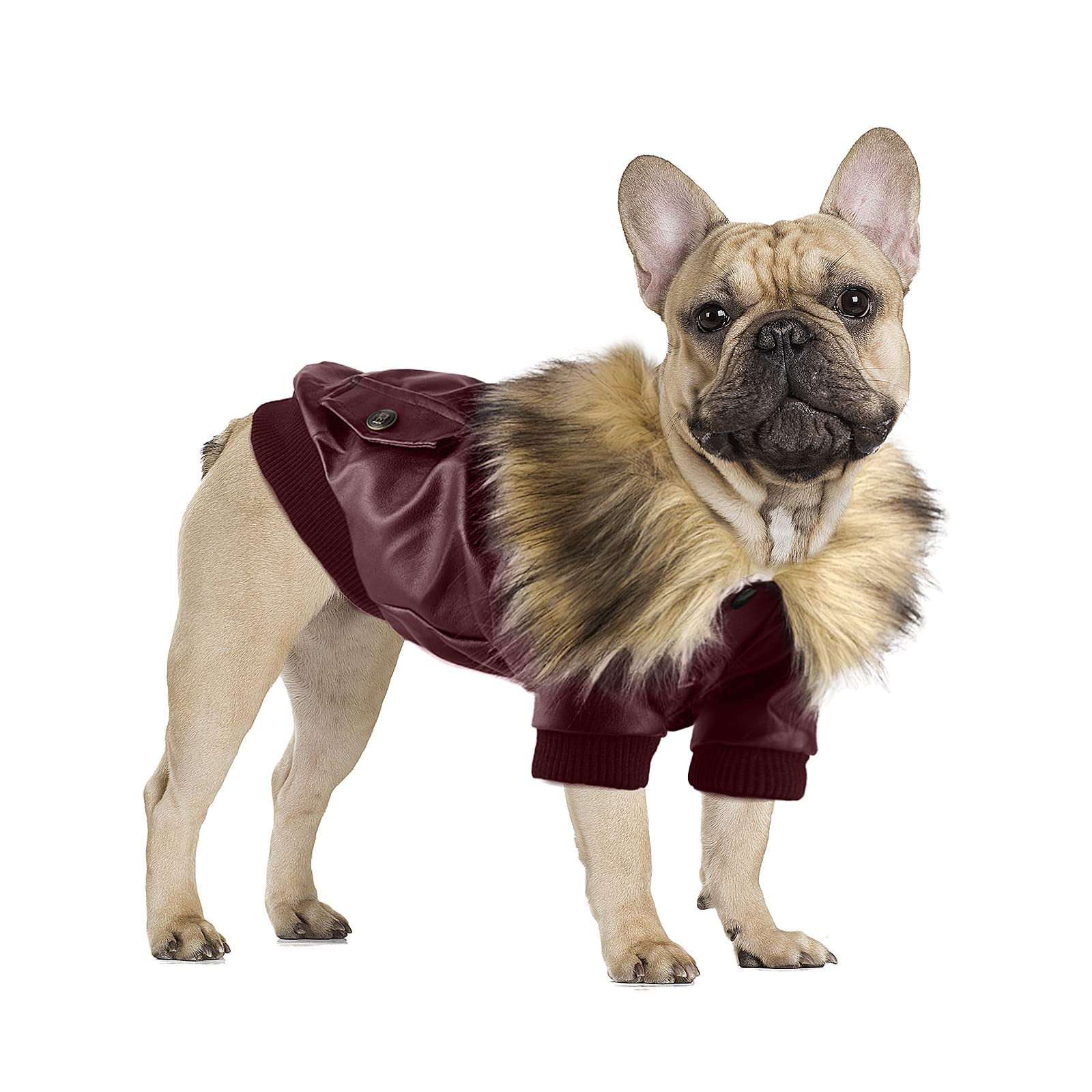 Namsan Dog Winter Coat Waterproof Dog Clothes Cool Pet Leather Jacket for Dog-M (Red)