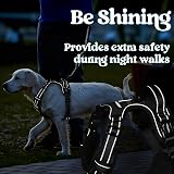 rabbitgoo Dog Harness Small Adjustable No Pull Reflective Front Back Clips view 9