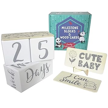monthly baby blocks