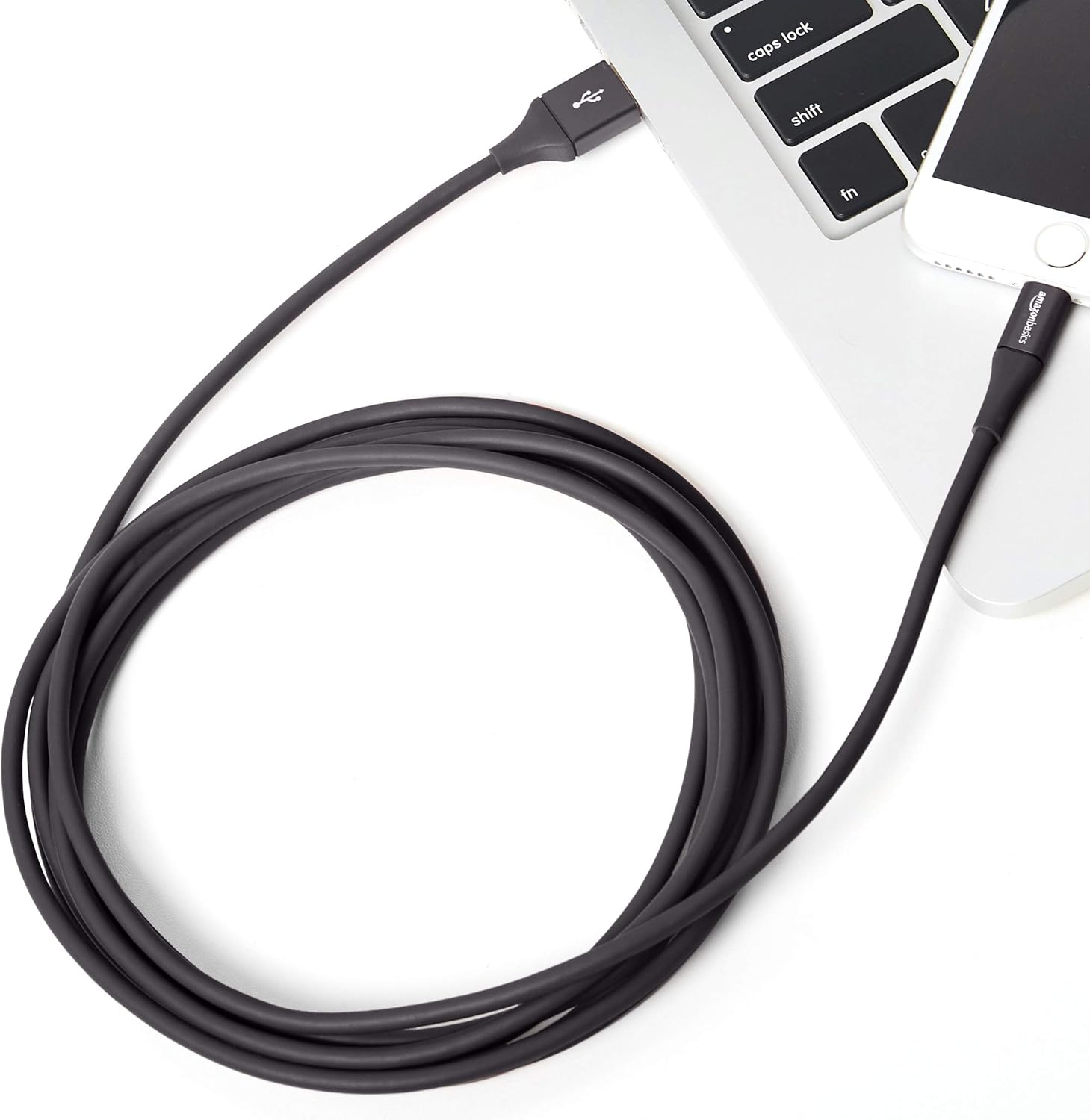 Basics USB A Cable with Lightning Connector, Premium Collection, MFi Certified Apple iPhone Charger, 10 Foot, Black