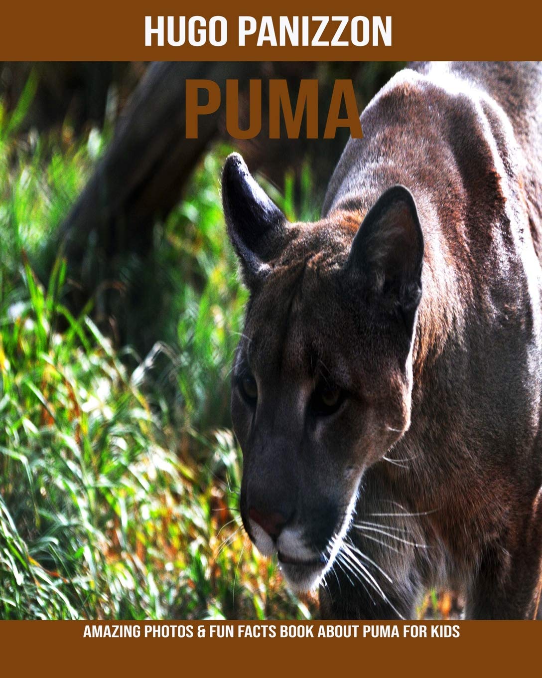 about puma