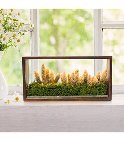 Amazon.com - Olszewski Gallery of Light Disney Gallery of Light by