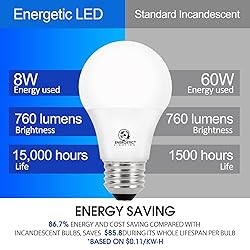 Energetic 60W Equivalent, A19 LED Light Bulb, 5000K