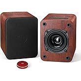 Saiyin Speakers for Vinyl Record Player, Bluetooth Turntable Speakers with 45 RPM Adapter and AUX Input