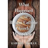 What Happened to the Roman Catholic Church? What Now?: An Institutional and Personal Memoir