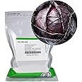 Red Acre Cabbage Microgreens & Sprouting Seeds – 1 Lb – Non-GMO, Chemical-Free – High-Germination Seeds for Nutritious Microgreens, Sprouts, Hydroponic Growing, and Indoor Gardening