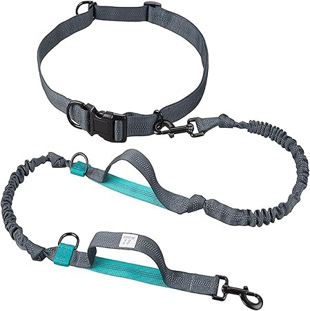 leash amazon