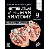 Netter Atlas of Human Anatomy: Classic Regional Approach (Netter Basic Science)