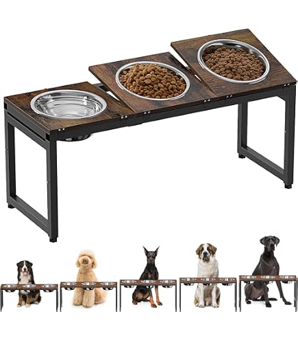 3 bowl elevated dog feeder with storage Extra Small Two Dog Feeder with Storage  Belliesop