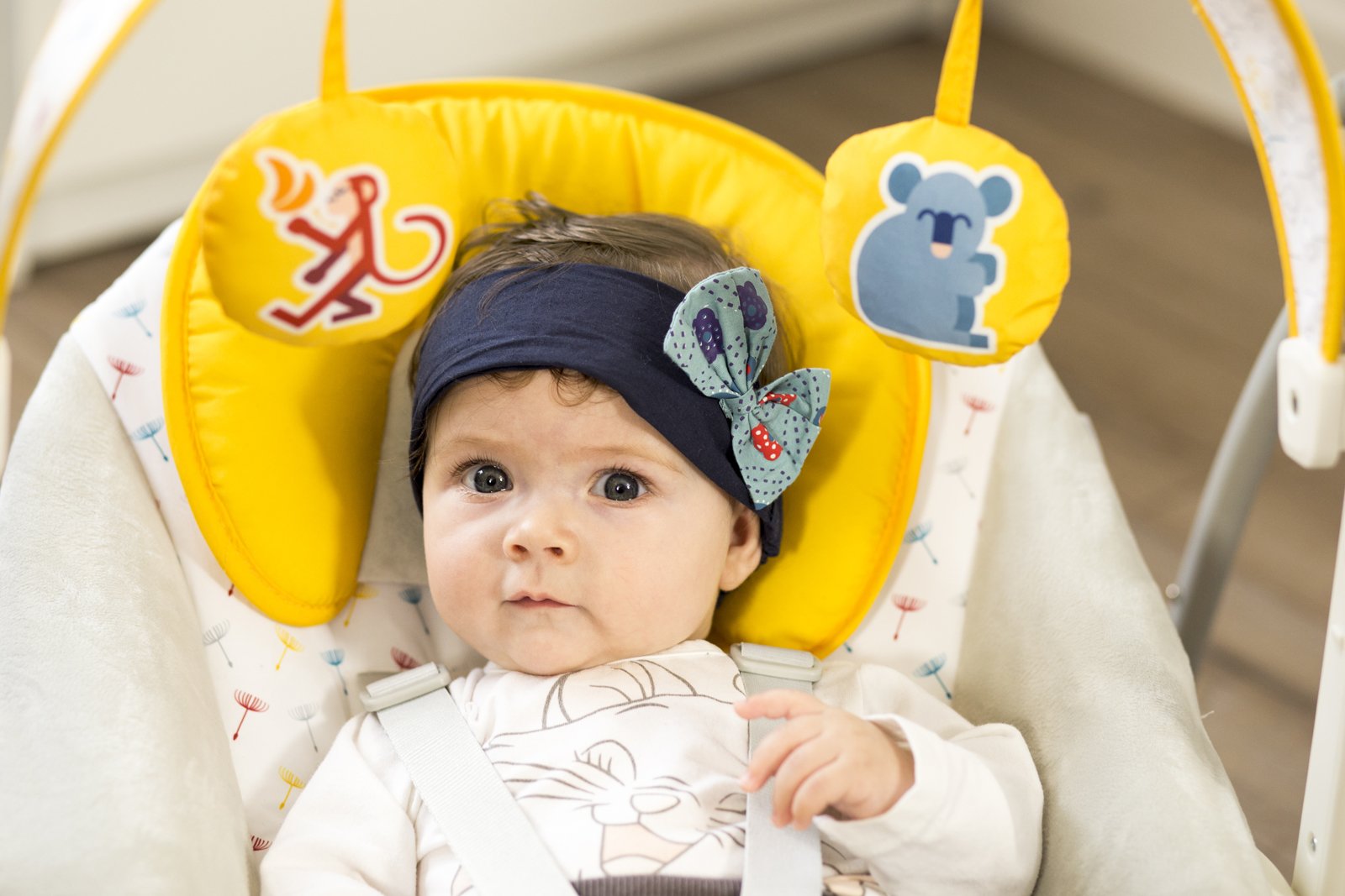 baby bouncer kinderkraft