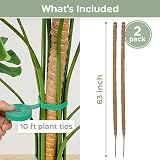 K-Brands Moss Pole 2 Pack 160 cm Bendable Plant Support Sticks with Ties view 2