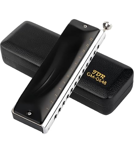 Amazon.com: Hohner Accordions 7542BX-C Discovery 48 Harmonica