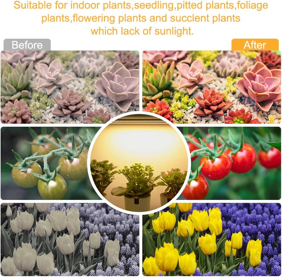 Mosthink LED Plant Grow Light Strips Full Spectrum for Indoor Plants with Auto ON & Off Timer,48 LEDs / 4 Dimmable Levels,20W Sunlike Grow Lamp for House Garden Hydroponics Succulent, Two Pack: Home Improvement