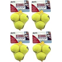 Caru Daily Dish Broth for Dogs & Cats - Pumpkin - Pack of 12: Pet ...