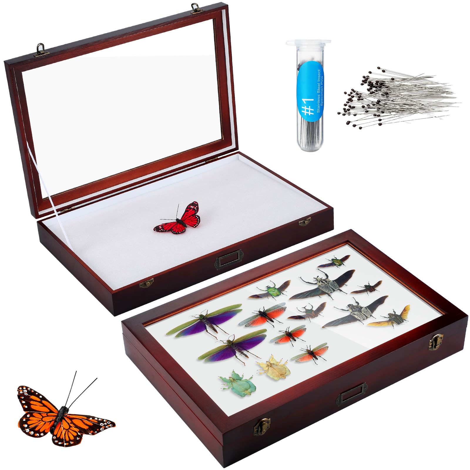 Photo 1 of Colingmill 1 Pcs Large Insect Display Case with Clear Top 18 x 12 x 3 Inch Wooden Collection Box with EVA Foam Board and Pins Butterfly Shadow Box for Specimen Storage