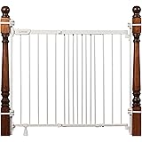 bily expandable metal gate