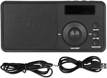 portable fm radio with bluetooth output