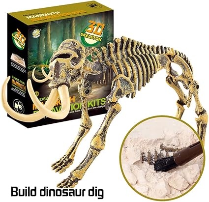 dinosaur excavation kit diy