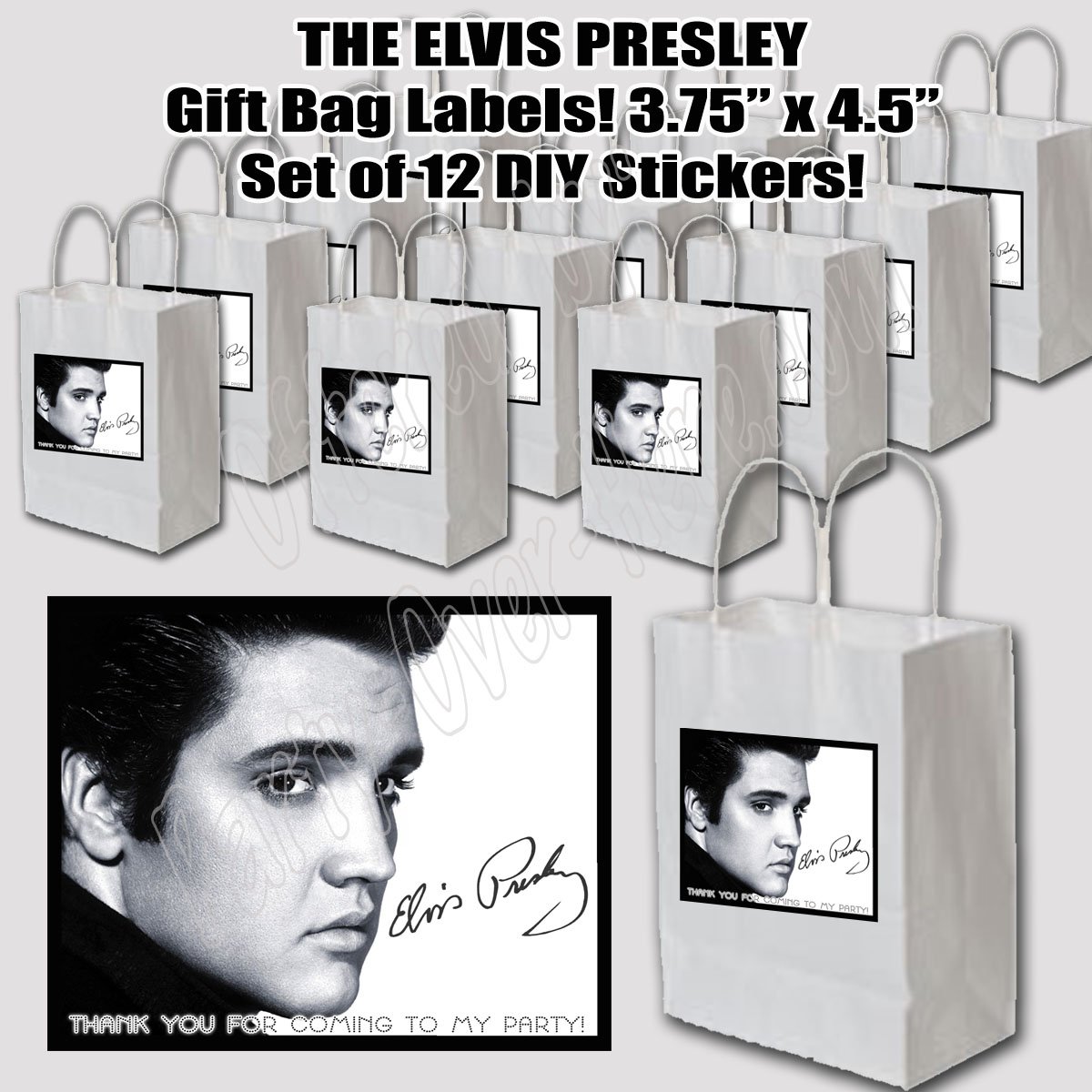 Elvis Presley Stickers Party Favors Supplies Decorations Gift Bag