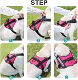 Belababy Soft No Pull Dog Harness X Large Reflective Adjustable Rose view 6
