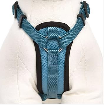 kong padded harness