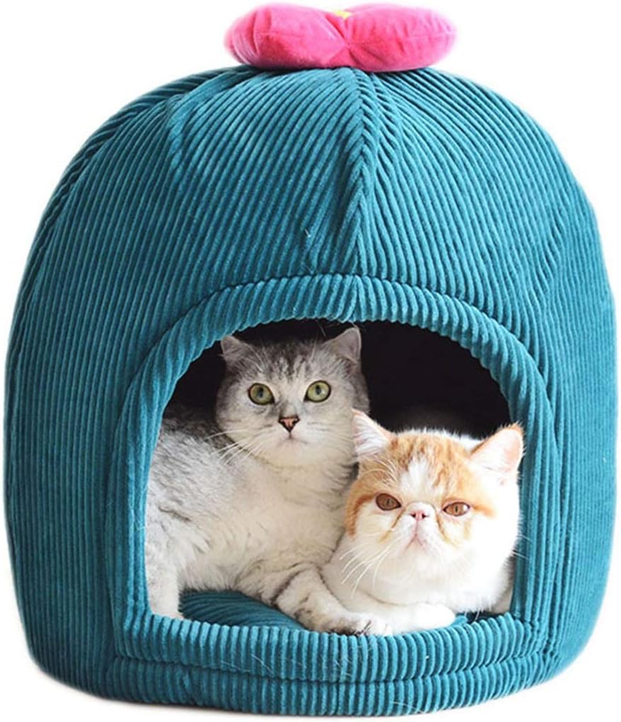 cactus cat bed