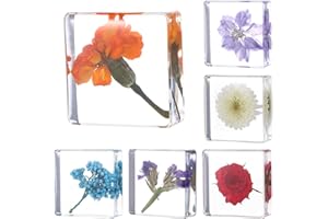 HOOHNNAA 6Pcs Pressed Flower Paper Weights, Real Flower Resin Crafts, Pattern Weights, Paper Weights Decorative,Pressed Flower Ornament,Paper Weights for Office Desk,Specimen Collection for Science Educational