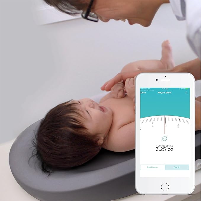 hatch baby scale canada