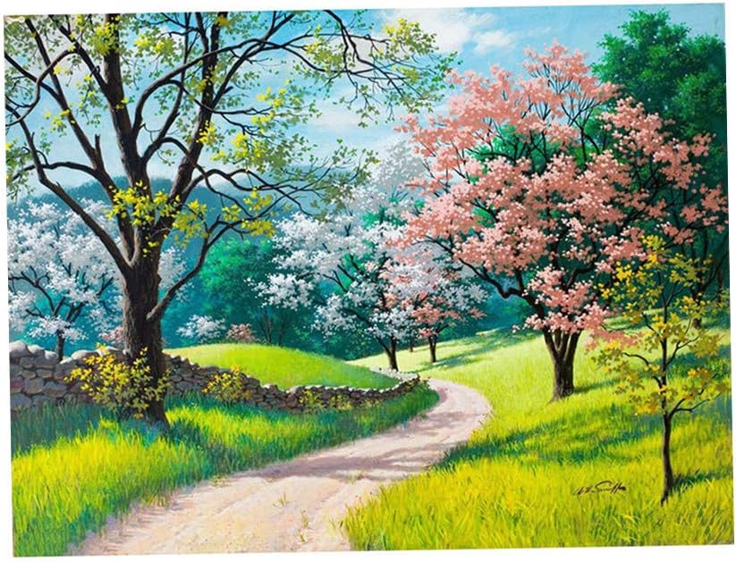 DIY Paint by Numbers for Adults Kids Paint by Numbers DIY Painting Acrylic Pigment Paint by Numbers Painting Kit Landscape Series: On The Way Home, Selfmade Home Wall Decor, 16" x 20"